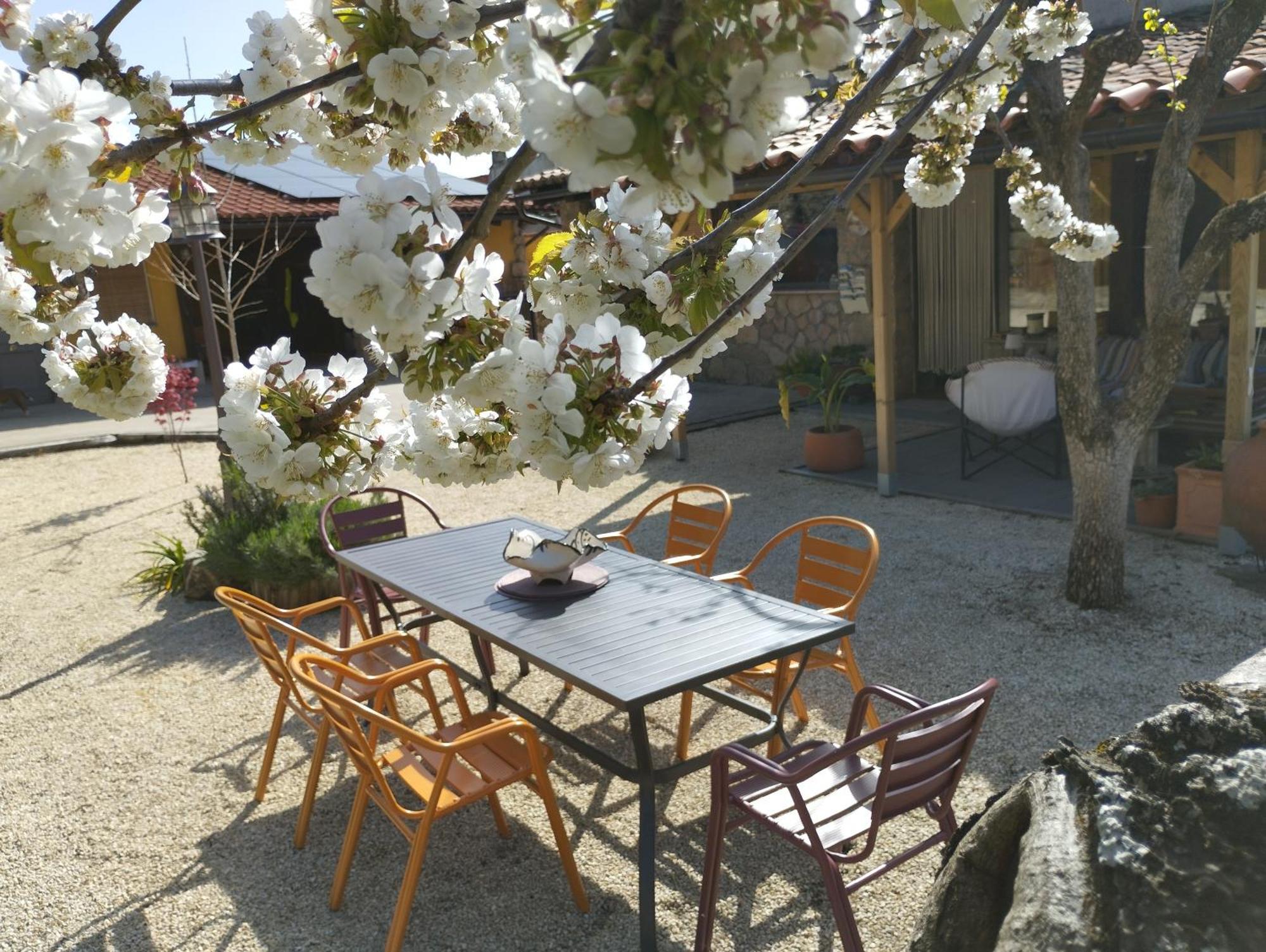 Apartamento Rural Se De Un Lugar Ел Торно Екстериор снимка